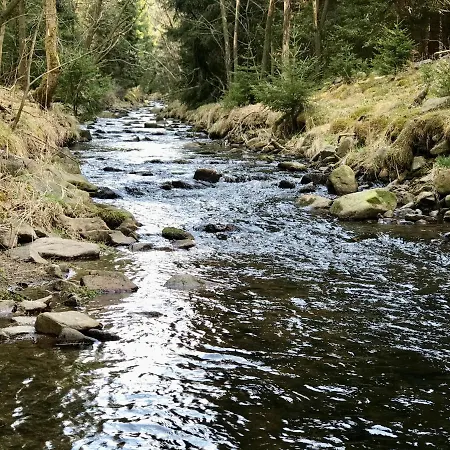 Дом отдыха Luxus Erzgebirge In Alleinlage *