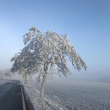 Luxus Erzgebirge In Alleinlage * Altenberg