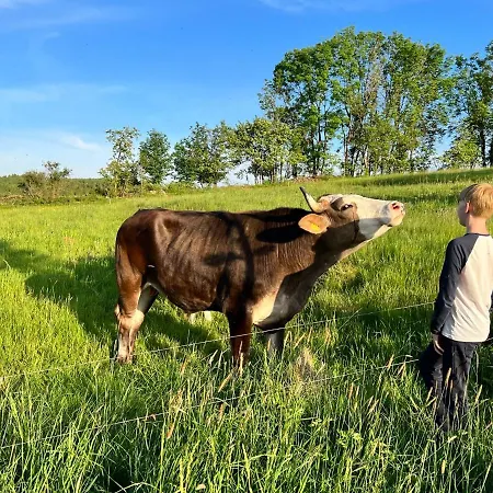 Luxus Erzgebirge In Alleinlage